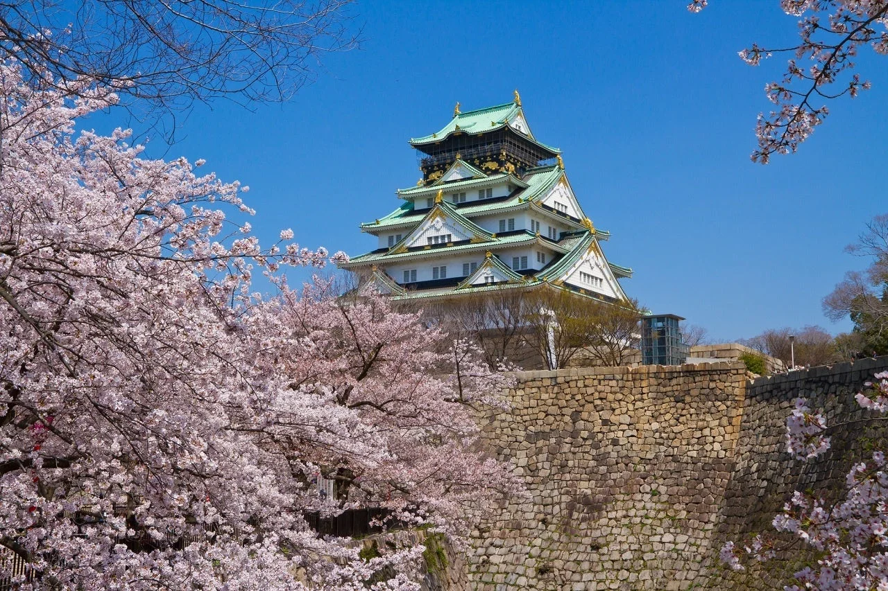 桜と大阪城