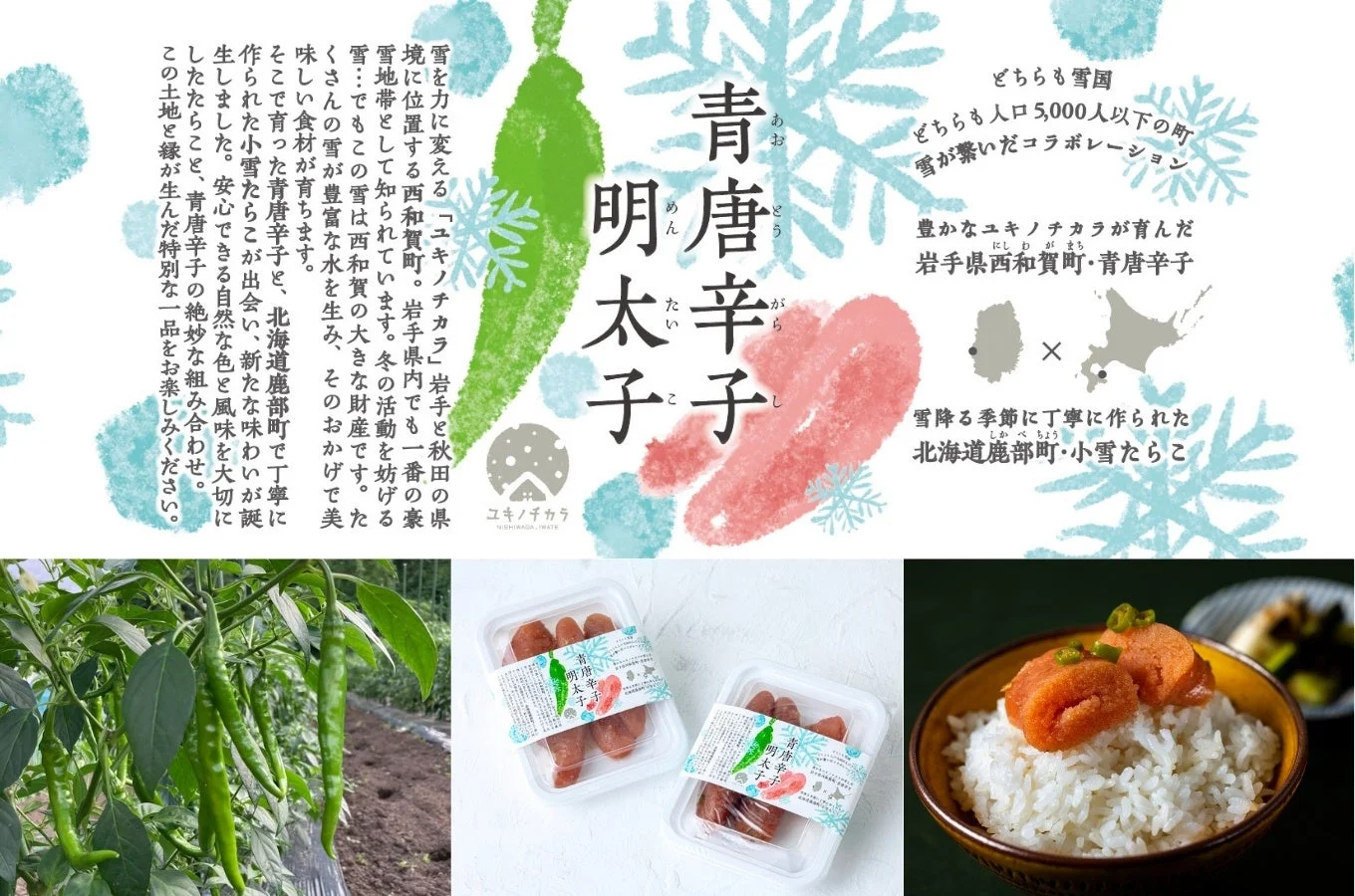 岩手県西和賀町の青唐辛子と北海道鹿部町の小雪たらこのコラボ商品「青唐辛子明太子」