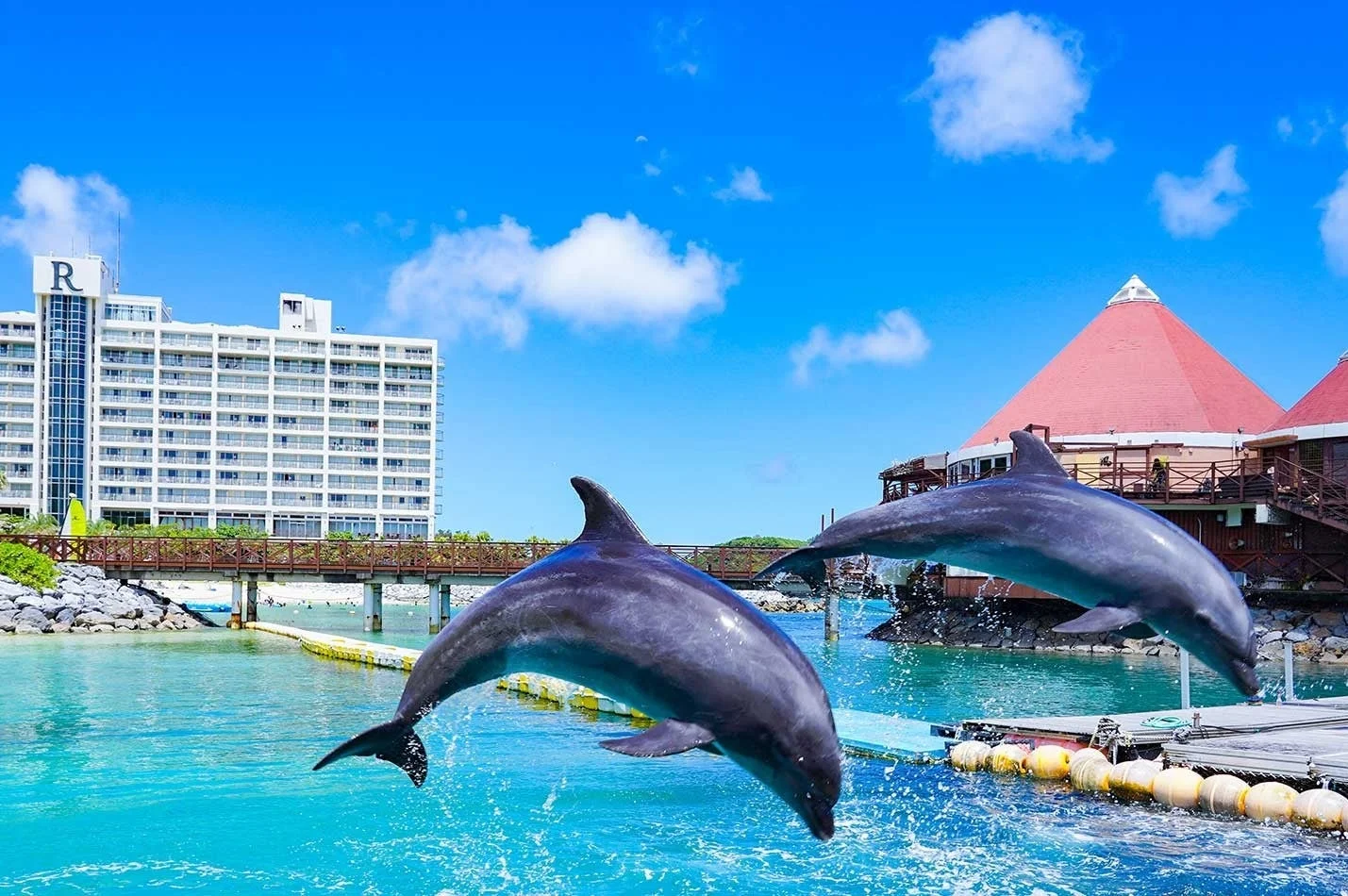 イルカがジャンプする様子とリゾートホテル