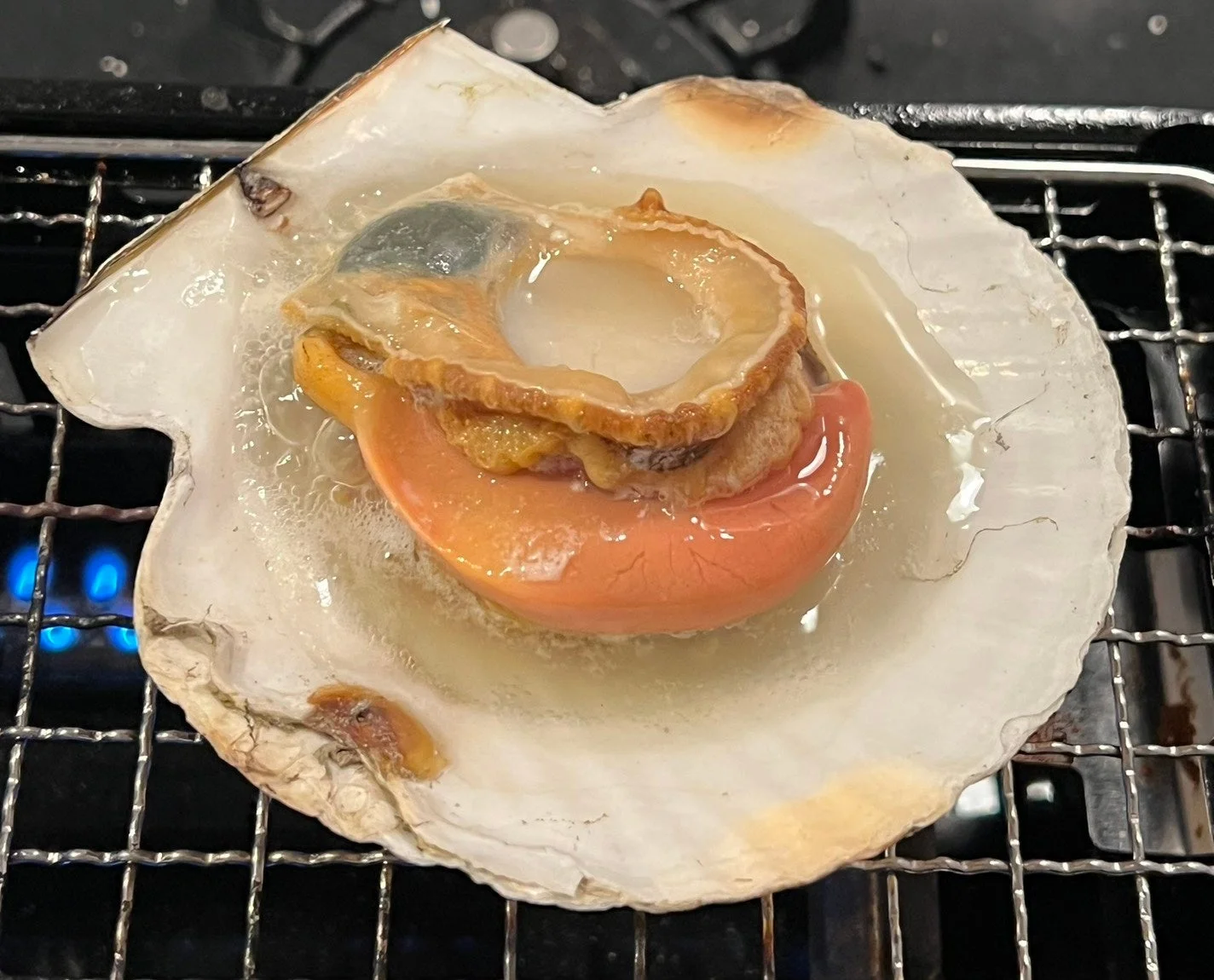 活きたホタテ貝の炭火焼