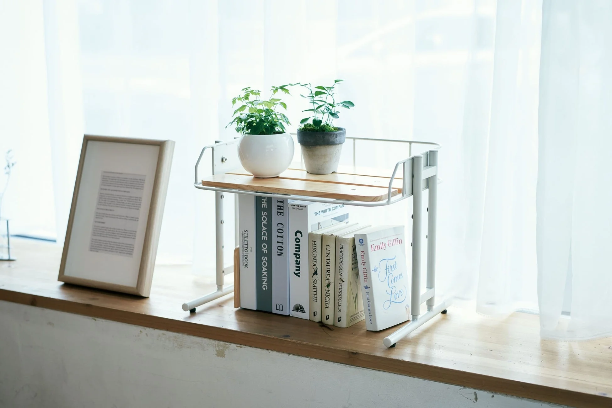 窓辺の棚と観葉植物