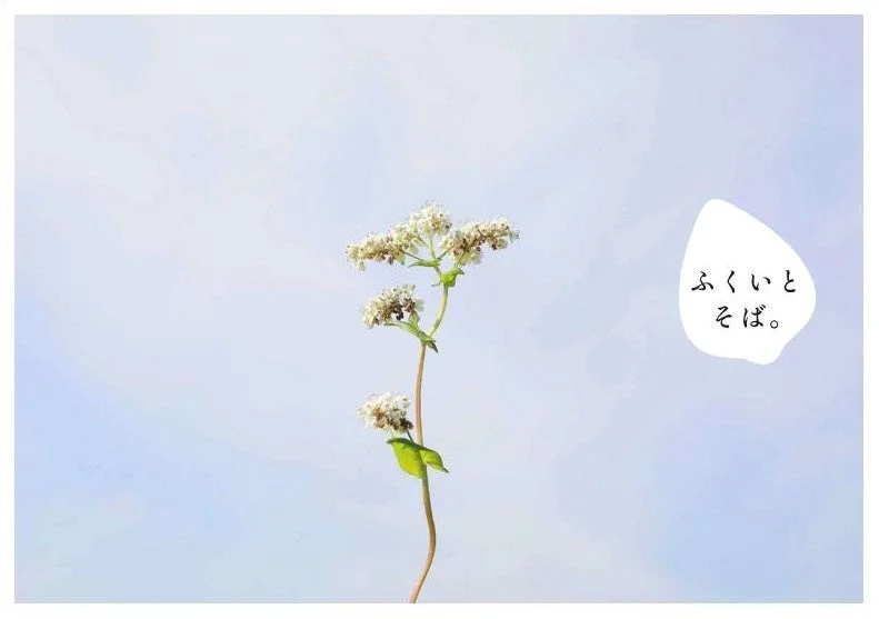 ふくいとそば。The Booklet 初版