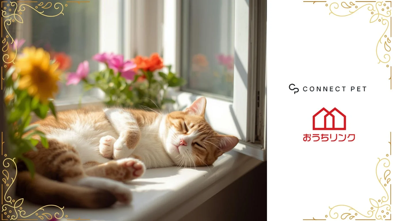 日当たりの良い窓辺で茶トラ猫が気持ちよさそうに眠る、穏やかな日常風景。周囲には花が飾られ、右側には「CONNECT PET」と「おうちリンク」のロゴが見える。