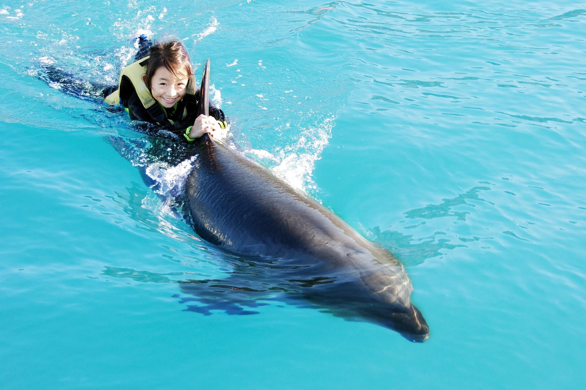 水中でイルカと触れ合う子供