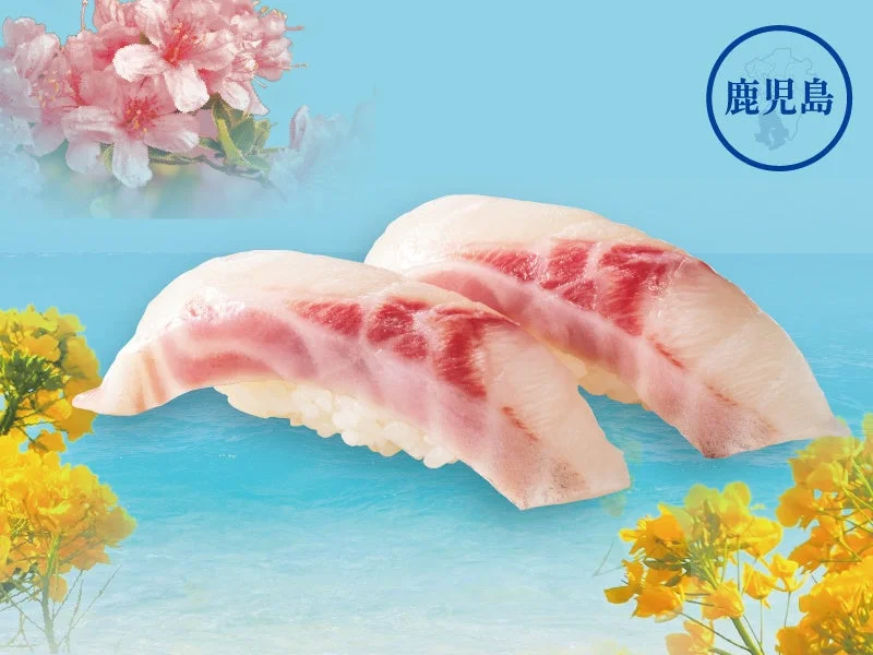 熊本天草いさきの握り寿司