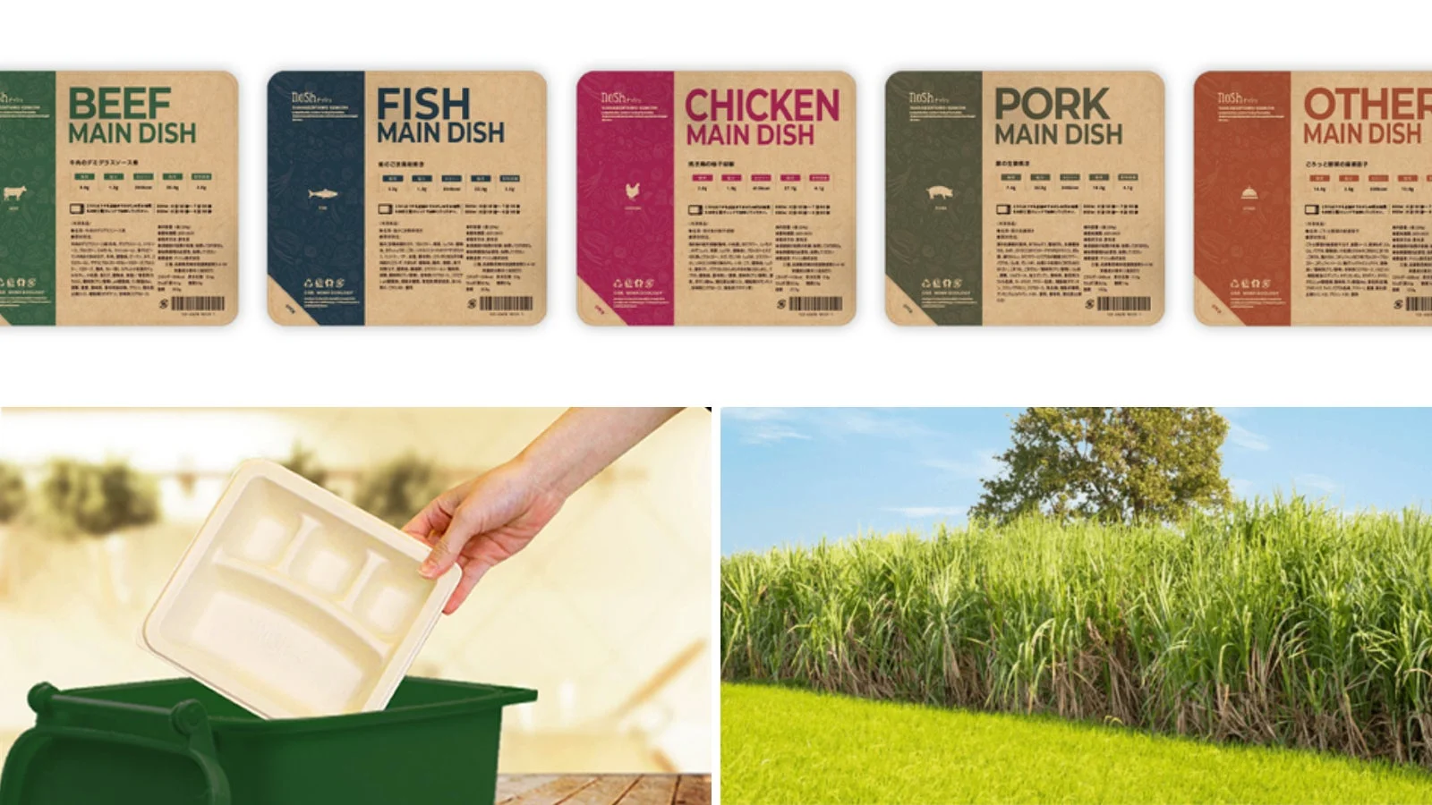 パルプモールド容器と食材