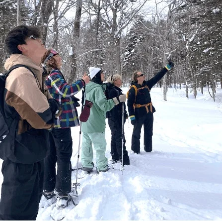 雪深い森の中で、冬用装備を身につけた人々がスノーシューを履いて散策している様子