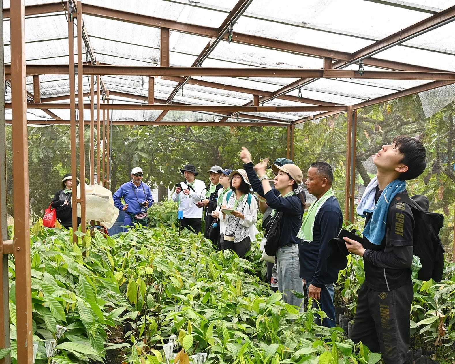 温室での見学