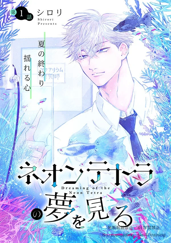 ネオンテトラの夢を見る