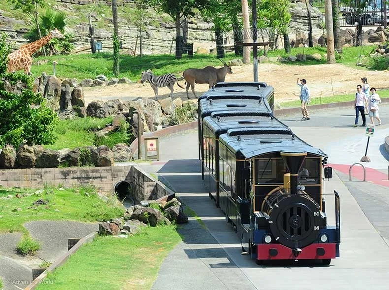 サファリパークの列車