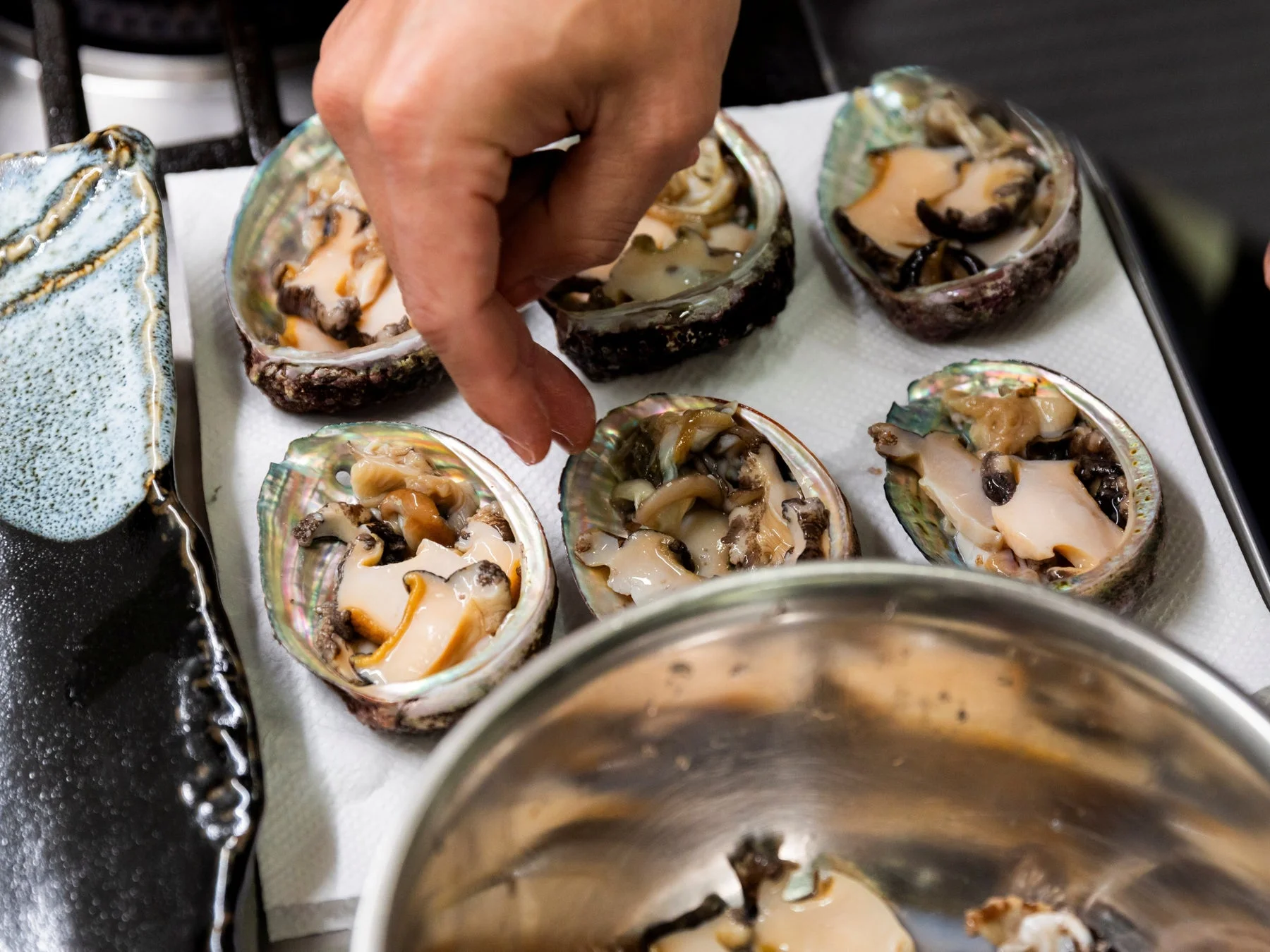 白いキッチンペーパーに並べられた殻付きアワビ