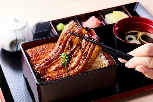 うな重を箸でつまむ様子