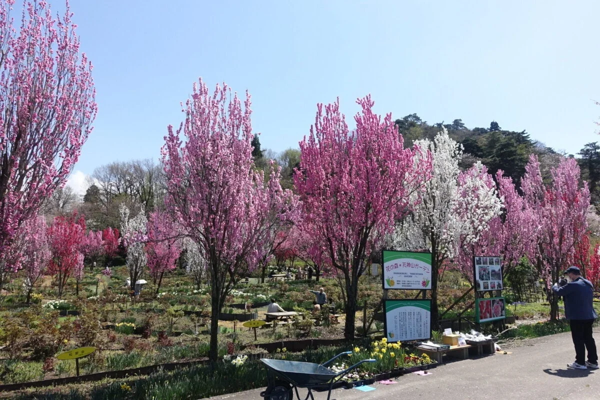 花の森・天神山ガーデン
