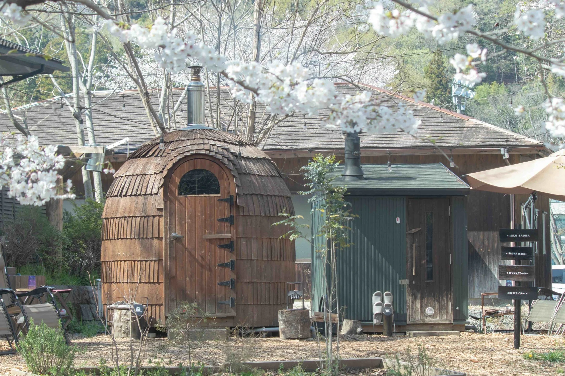 桜とサウナ小屋