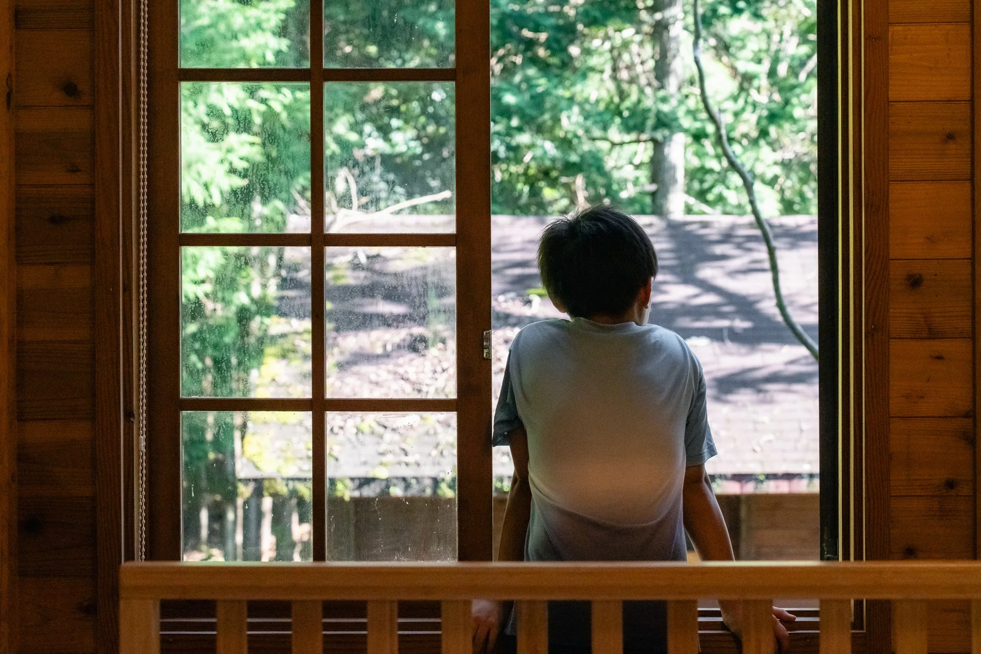 窓から外の緑豊かな景色を眺める少年