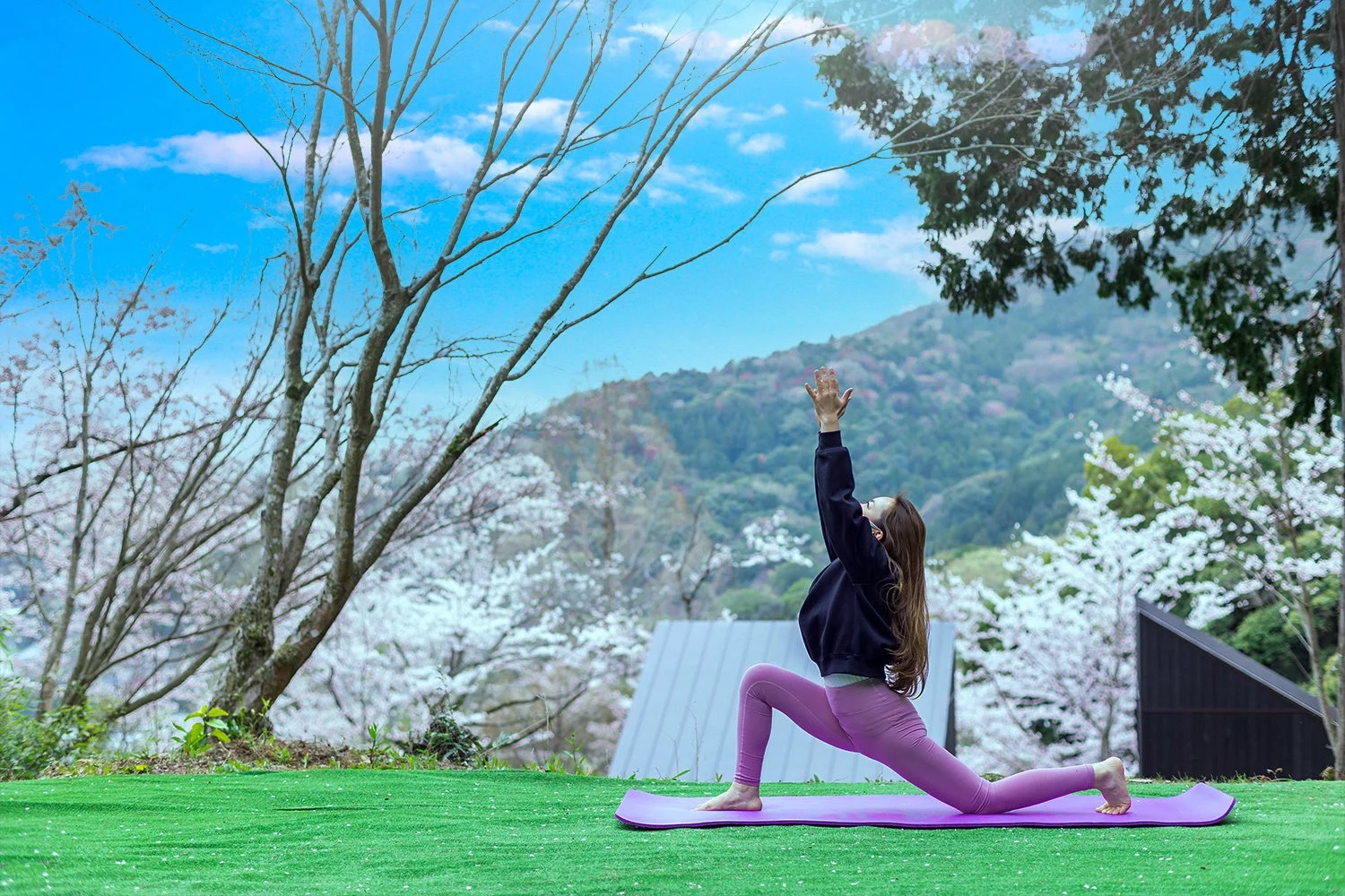 桜の下でのヨガ体験