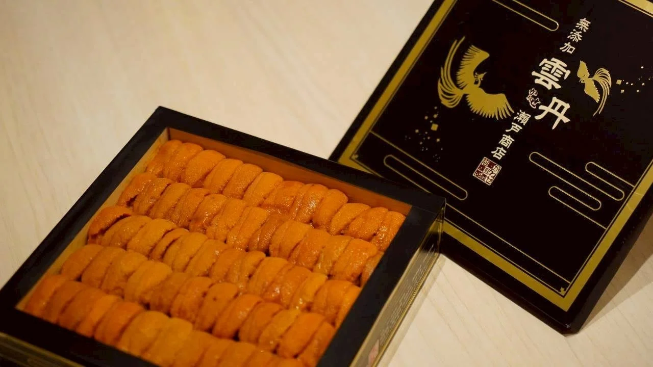 黒い箱に美しく並べられた鮮やかなオレンジ色の無添加雲丹