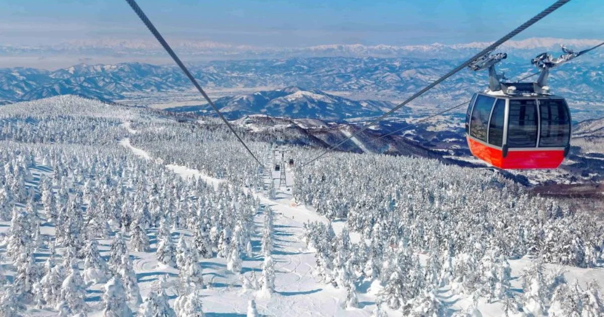 ゴンドラから見下ろす雪山の絶景と樹氷