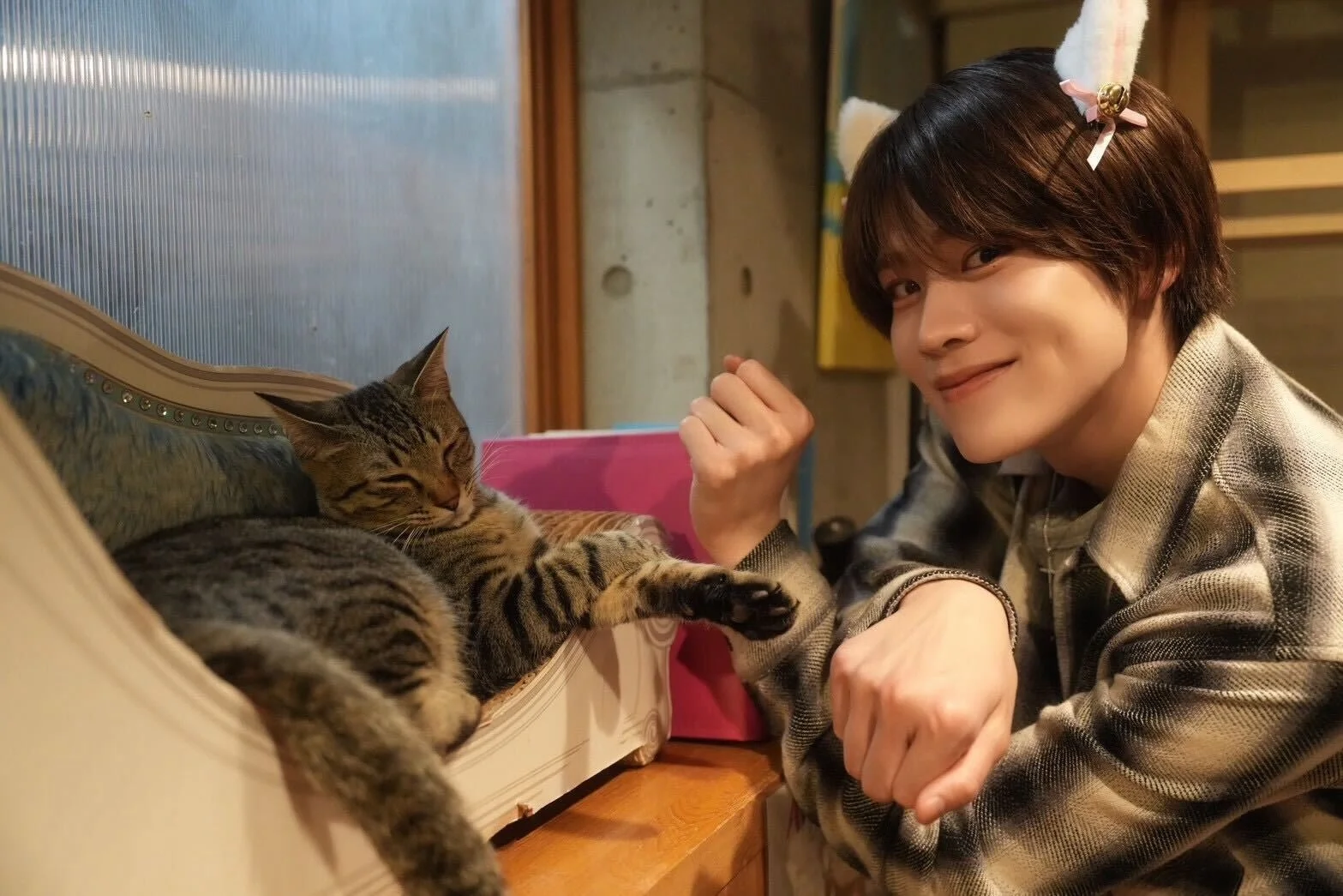 大久保波留さんと猫