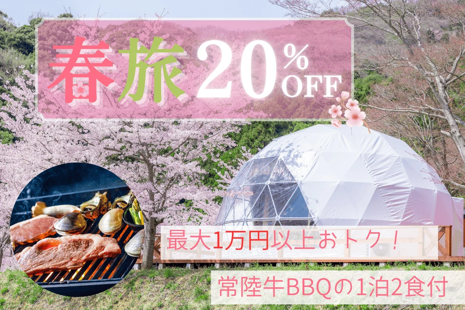 春旅20%OFFセール告知