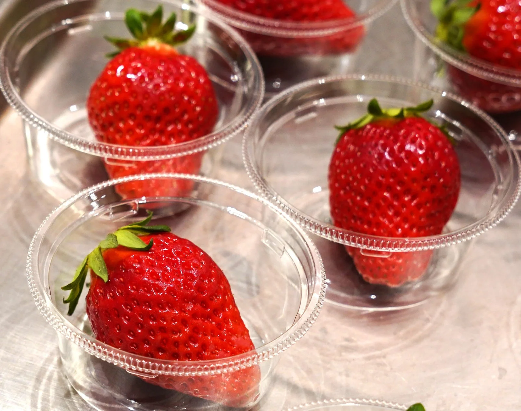 加古川市のいちご