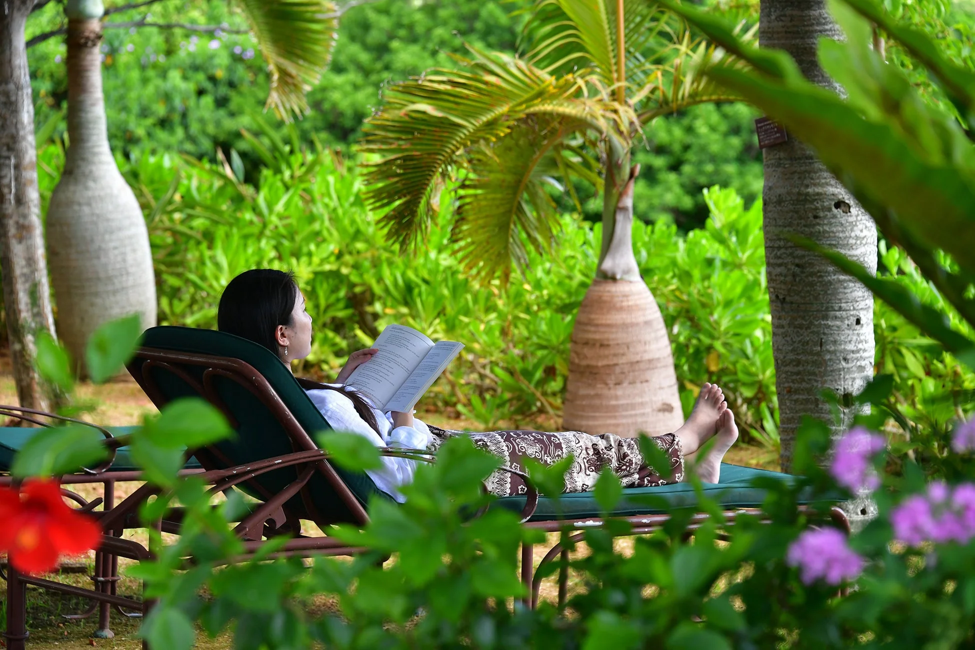 庭園で読書をする女性