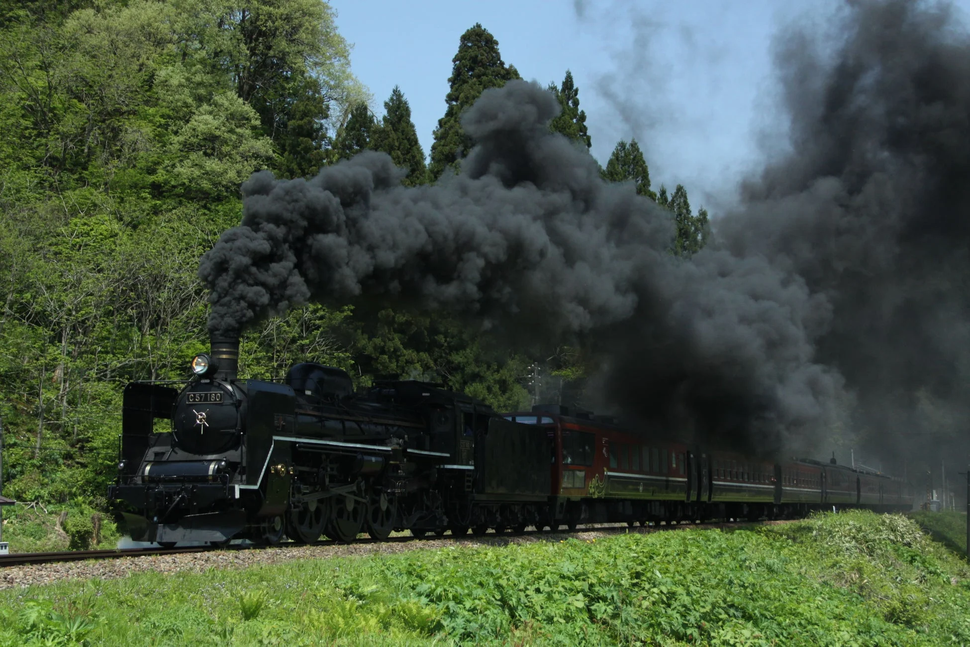 新緑の森を走る蒸気機関車C57 180