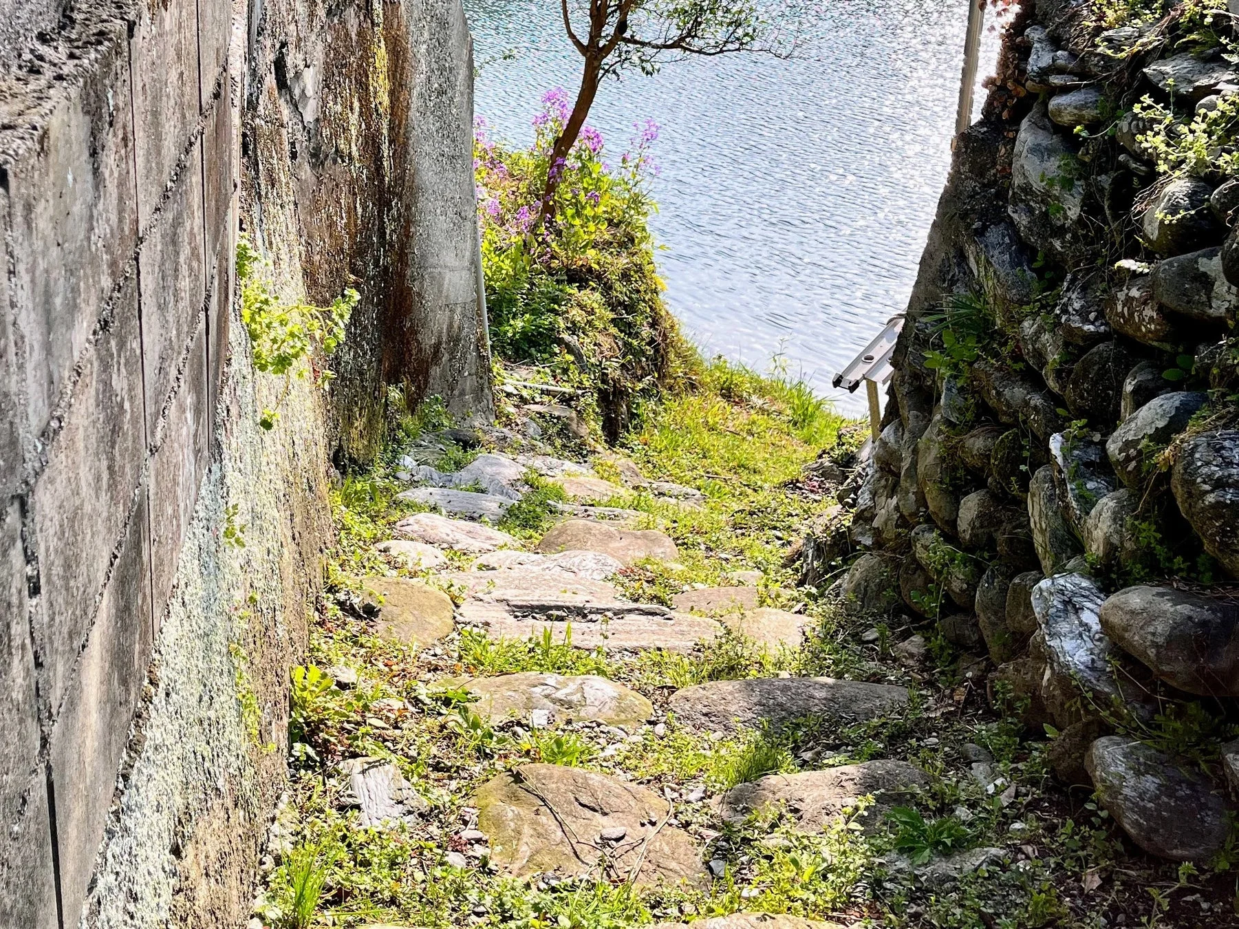 清流へと続く石造りの階段