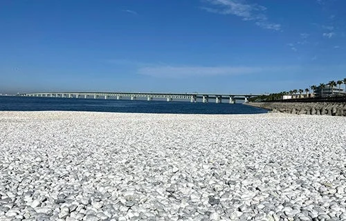 グループ席イメージ