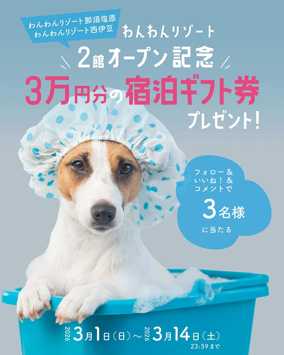 Instagramキャンペーン画像