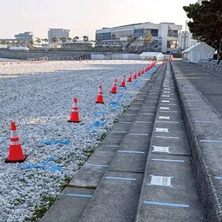 ダイナミックイス席イメージ