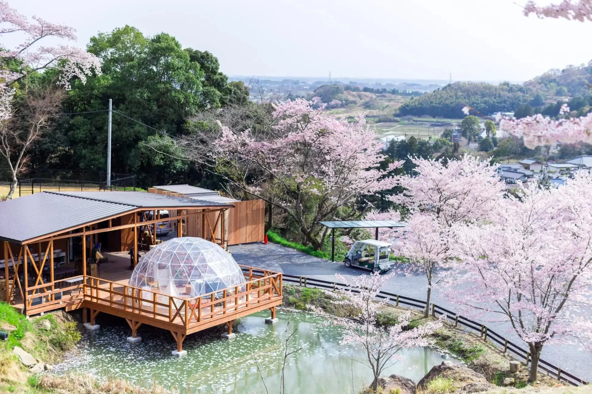 水辺の桜とグランピング施設