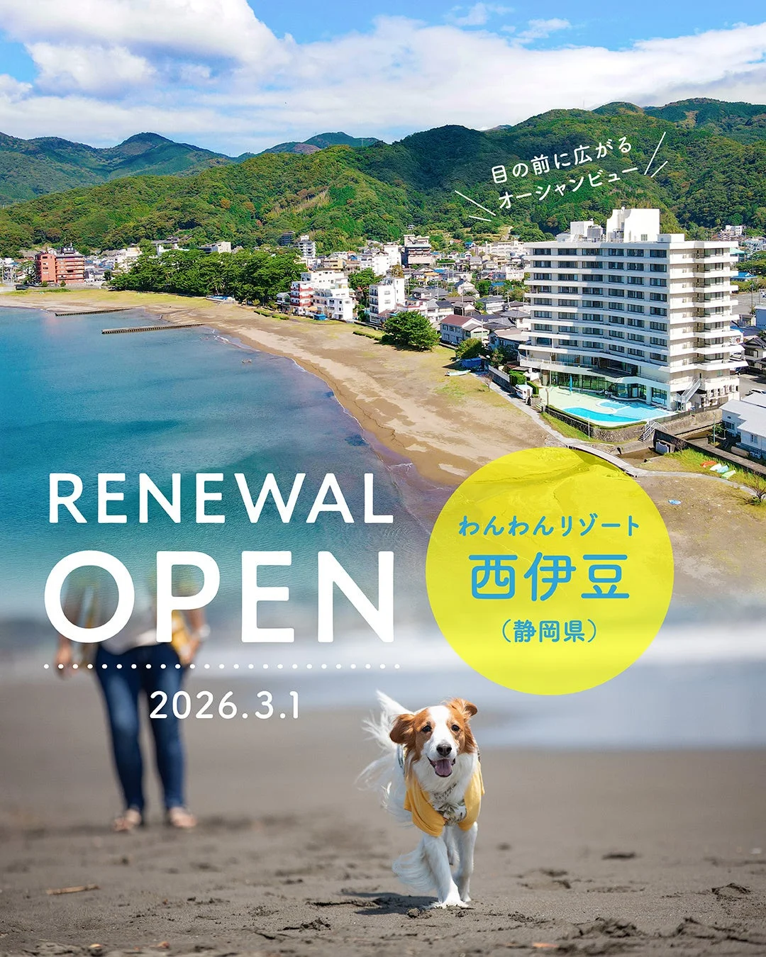 わんわんリゾート 西伊豆