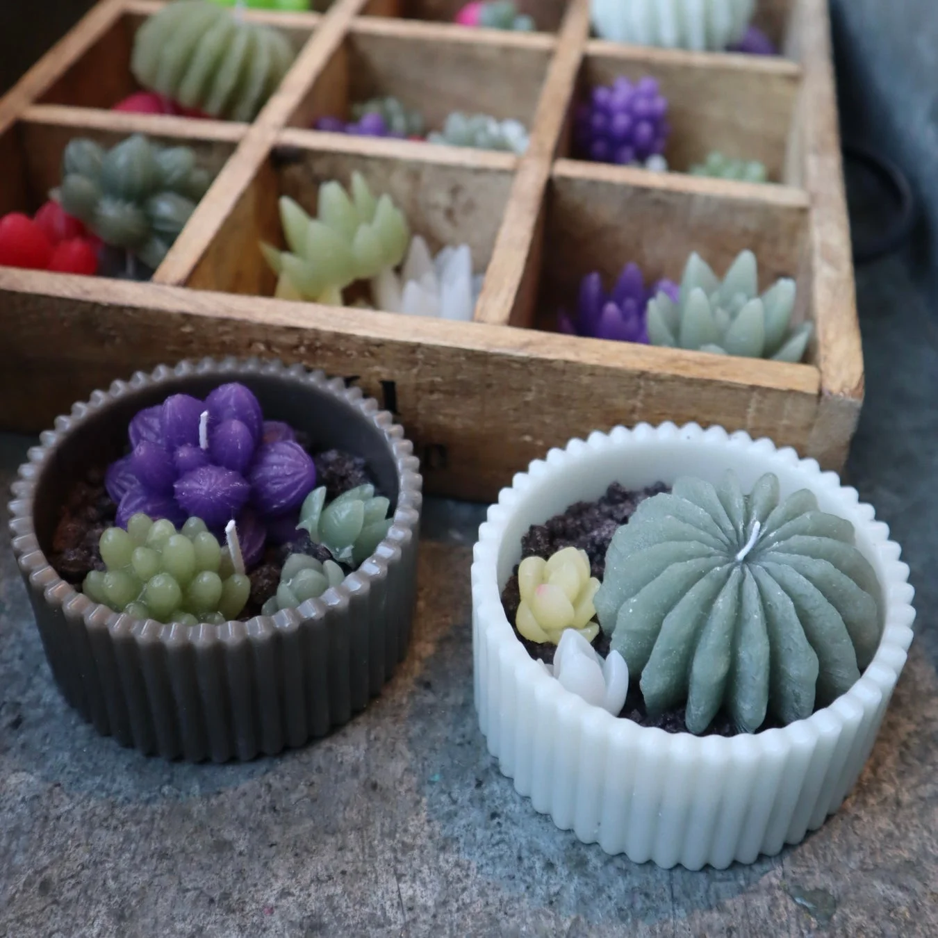 多肉植物やサボテンの形をした可愛らしいキャンドル