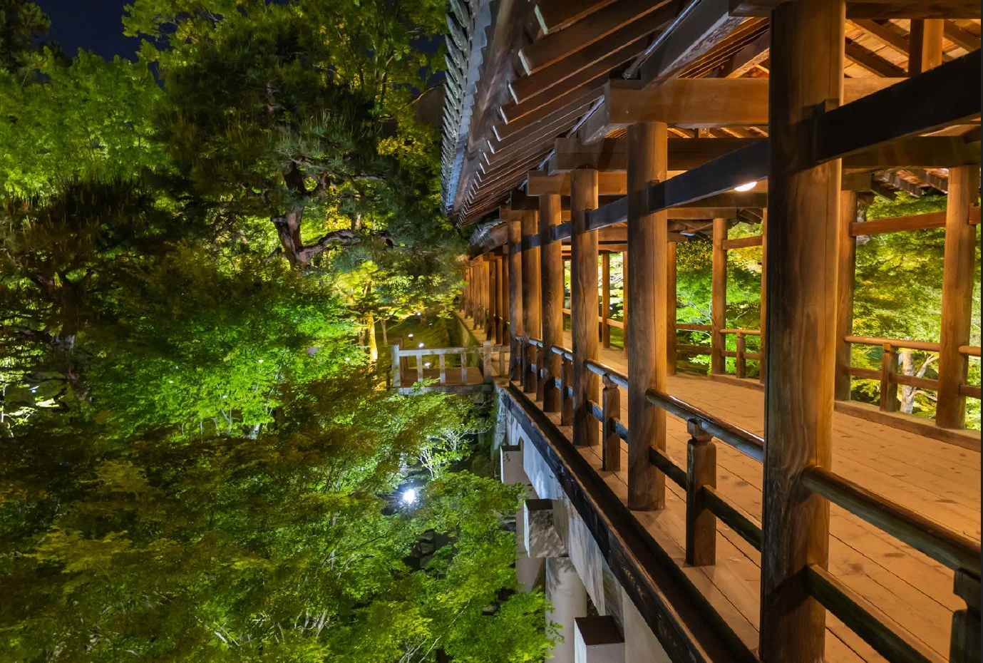 夜間ライトアップされた和風建築