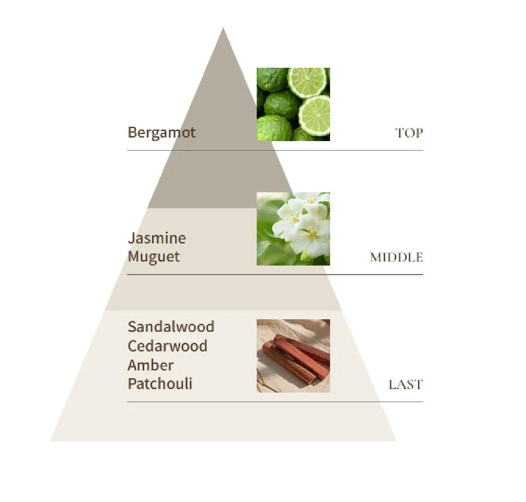 香りのピラミッド図