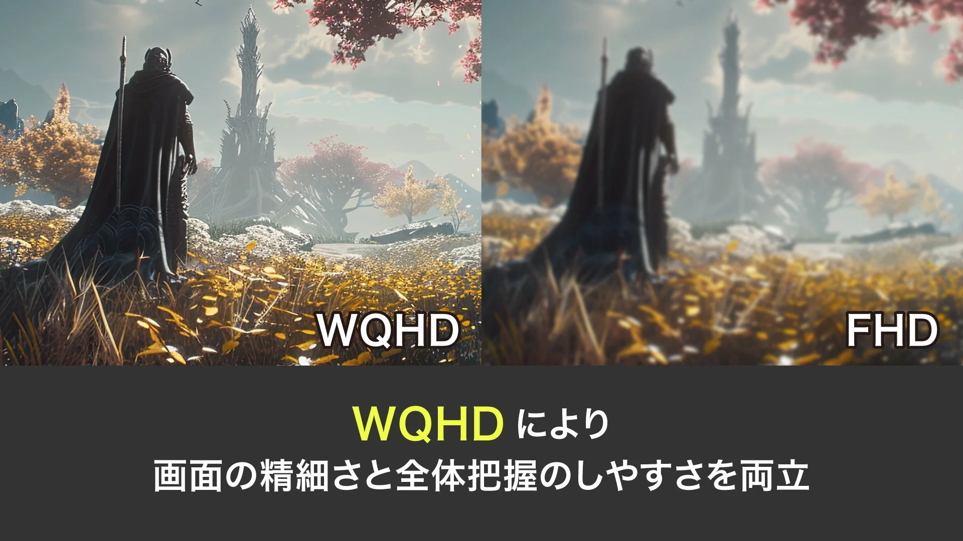WQHDとFHDの比較