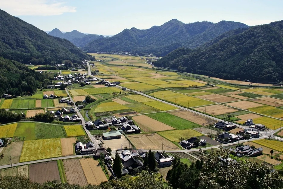 三田市の田園風景