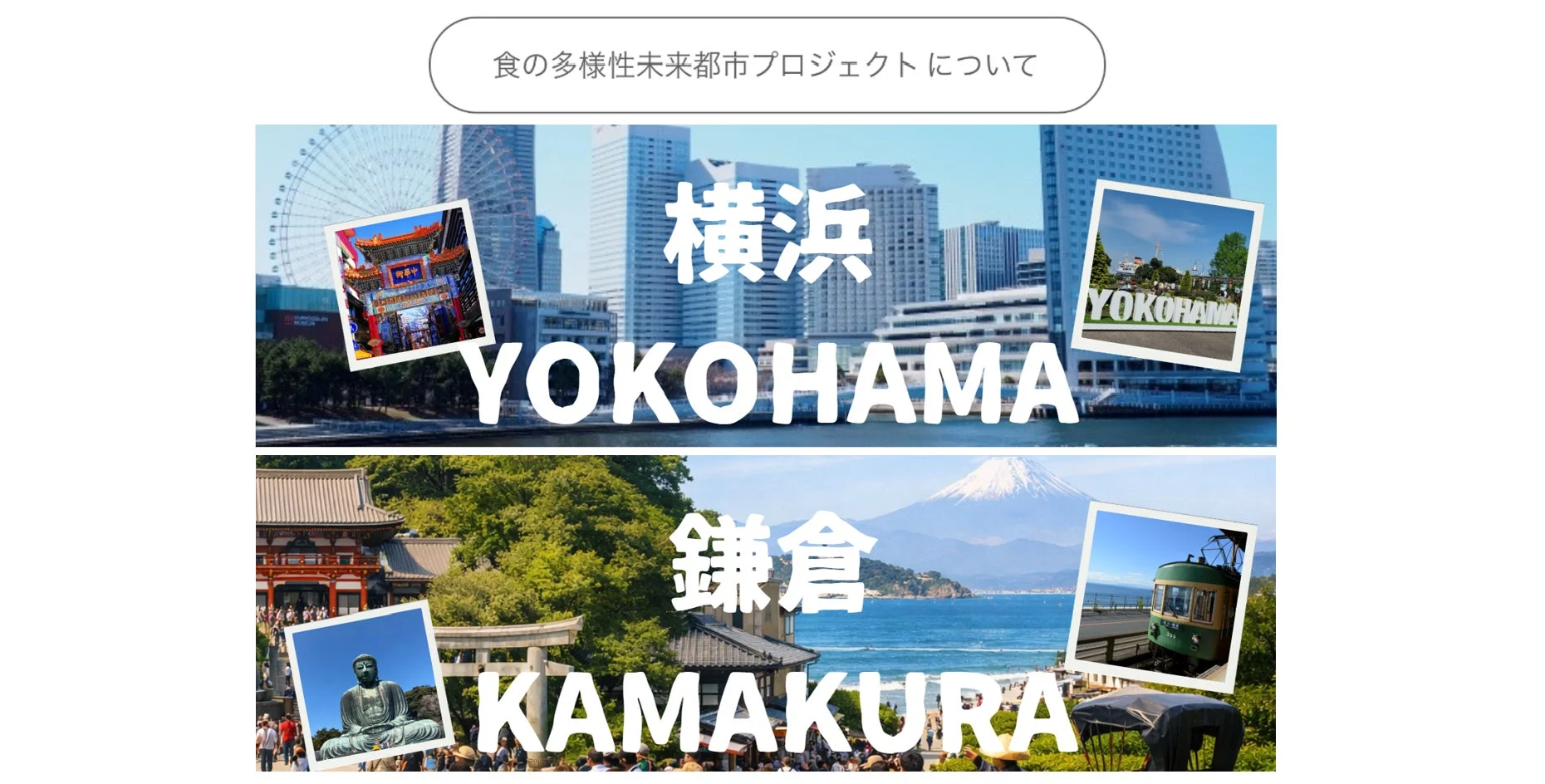 横浜と鎌倉のイメージ