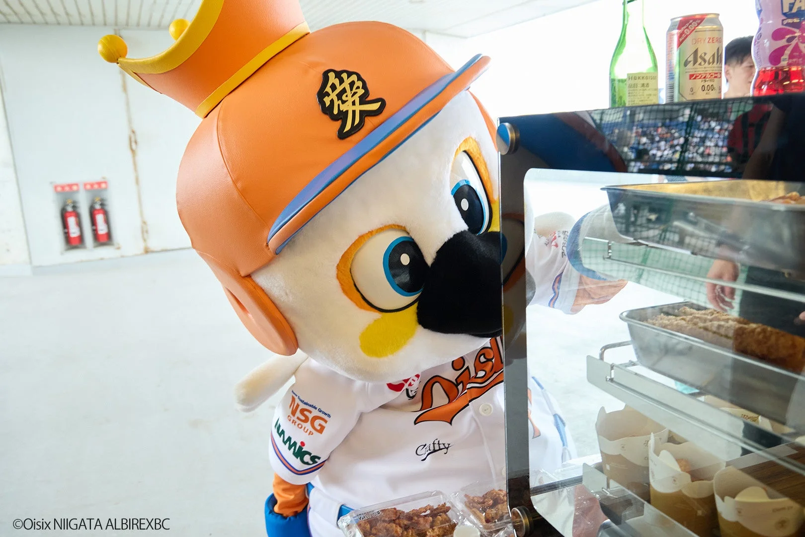 マスコットとショーケース