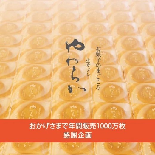 生サブレ やわらかーい おかげさまで年間販売1000万枚 感謝企画