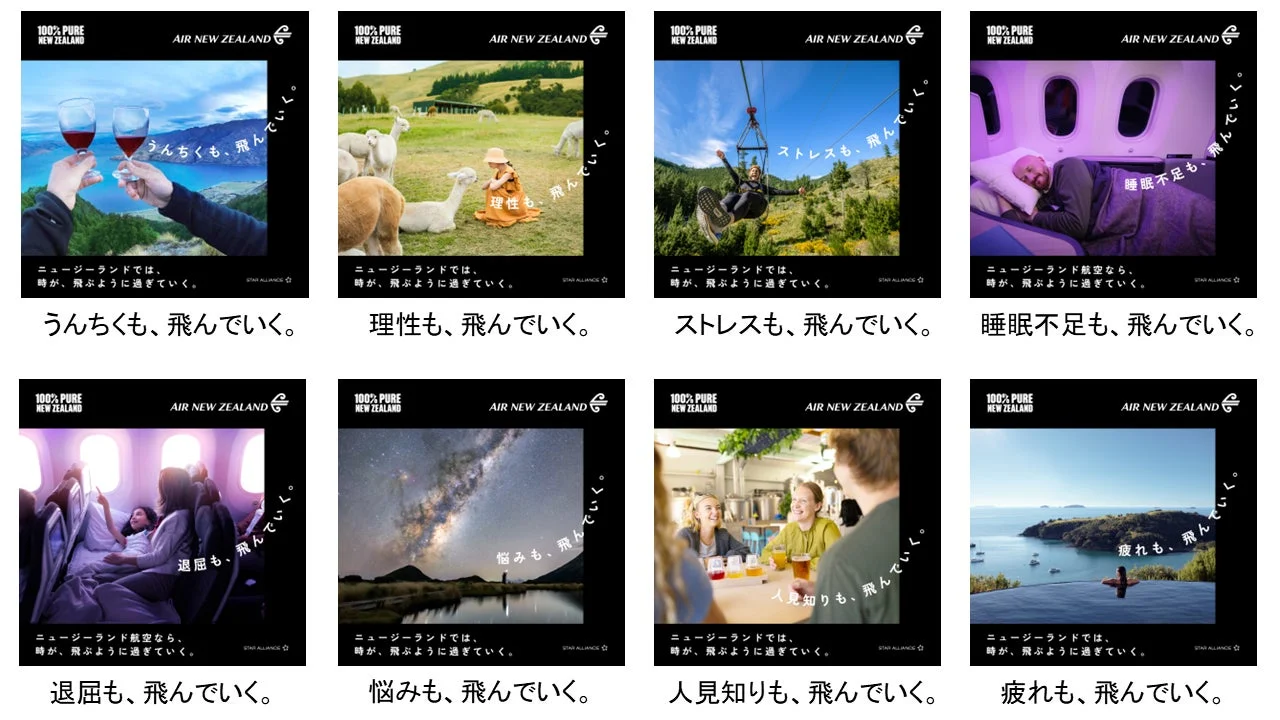 ニュージーランドでの様々な体験