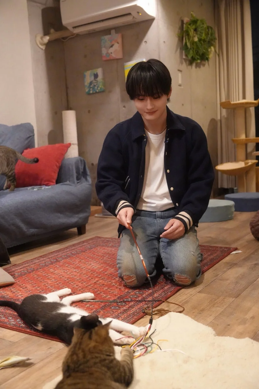 寺尾香信さんが猫と遊ぶ