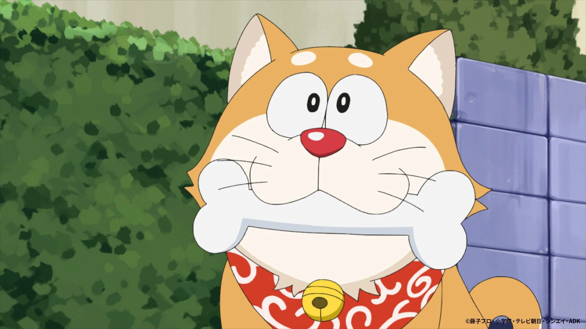 アニメ場面写真 柴犬ドラえもん