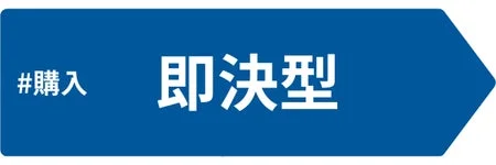 購入即決型