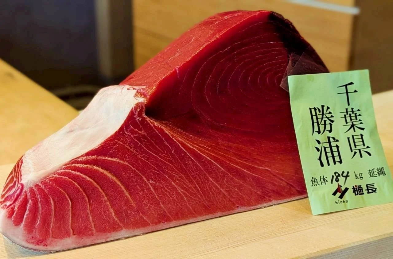 巨大なマグロのブロック