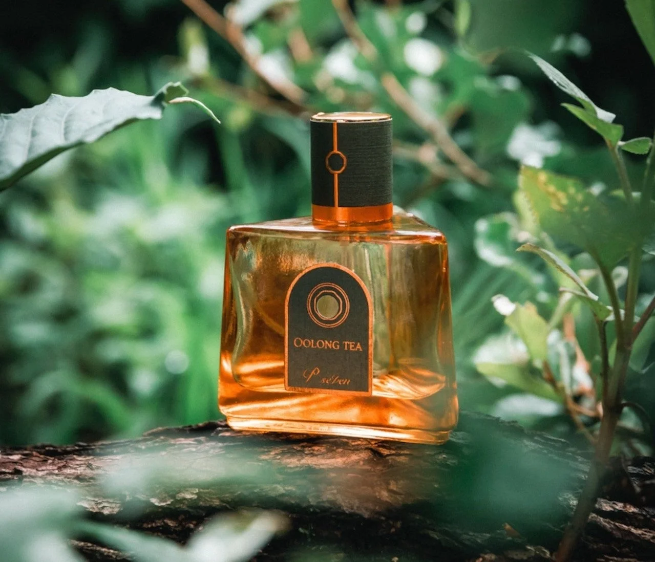 沁香 Oolong Tea オードパルファン