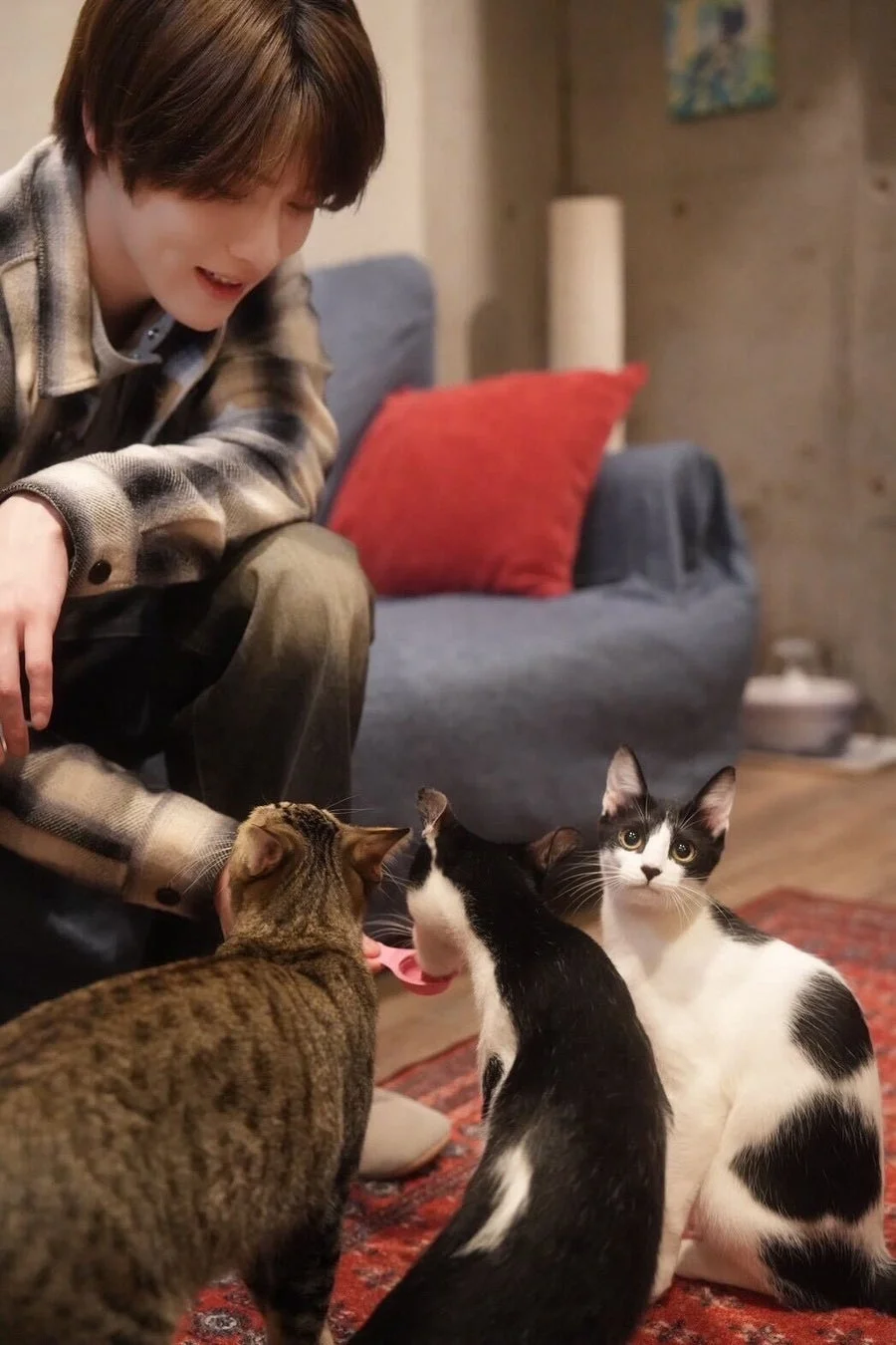 大久保波留さんが猫におやつ
