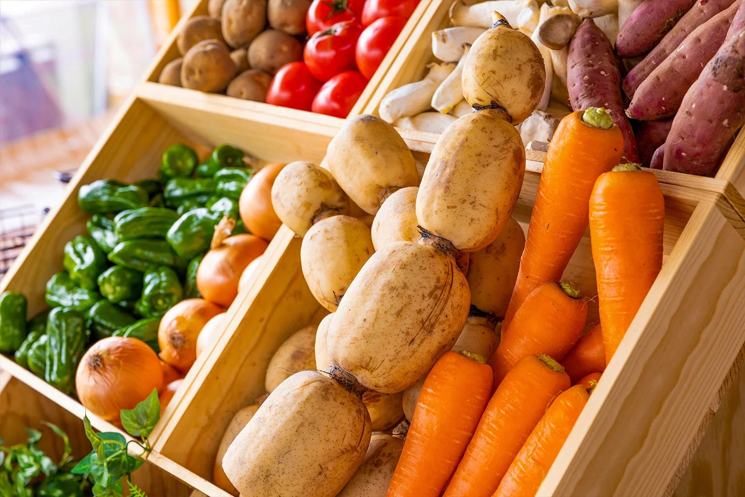 新鮮な茨城県産野菜
