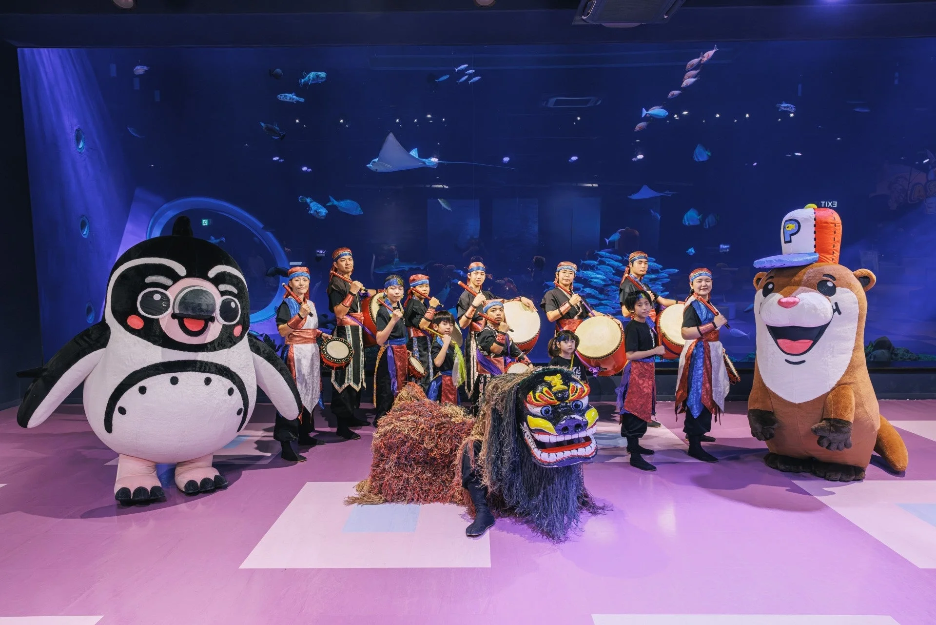 水族館,太鼓,着ぐるみ